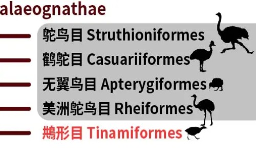 权威小儿豉翘清热颗粒保质期12月是指12月31日吗平台,分享专业小儿豉翘清热颗粒保质期当月可以吃吗知识_小儿豉翘清热颗粒保质期网
